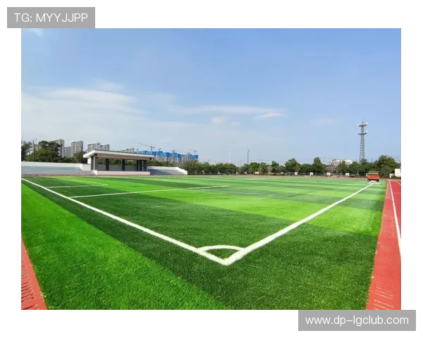 全面解析标准足球场区域划分示意图与关键功能详细说明全景呈现解